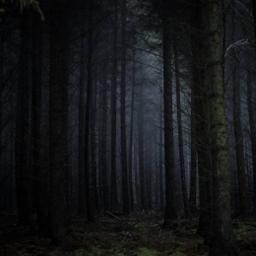 Dark