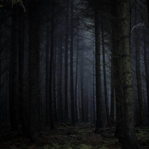 Dark