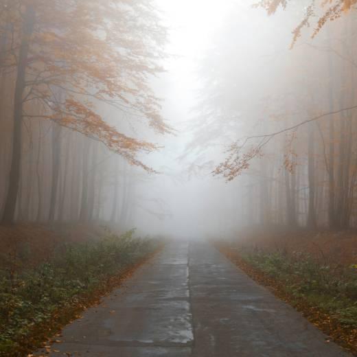 Mysterious