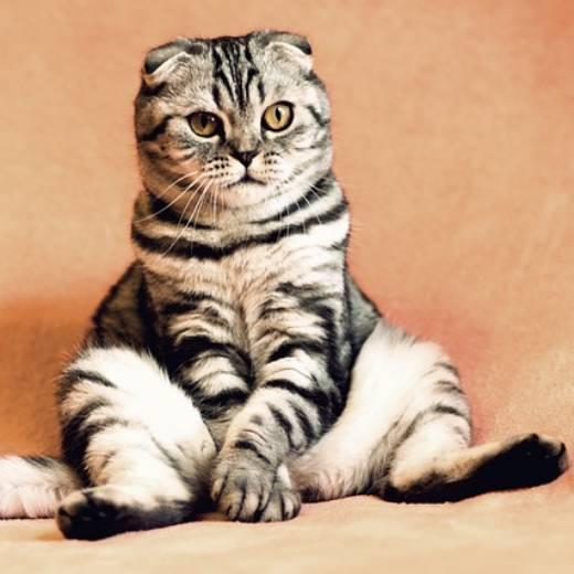 Funny and Cute