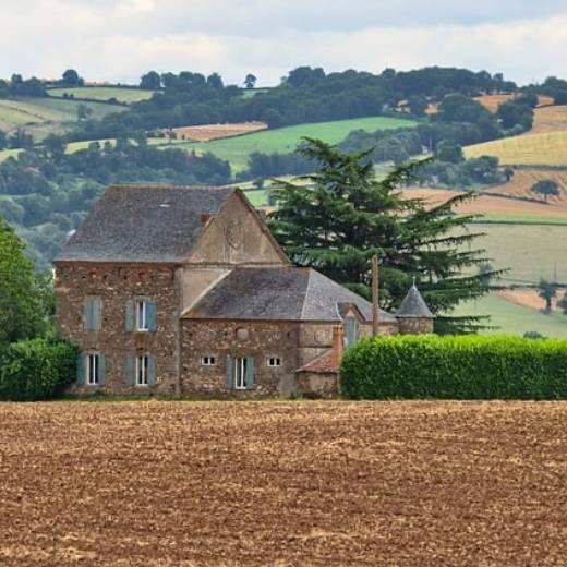 Real Estate In the Country