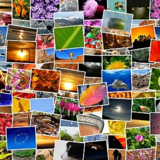 Compilation