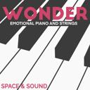 Neverending Wonder