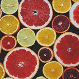 Fresh Cuts – Newly Added Tracks